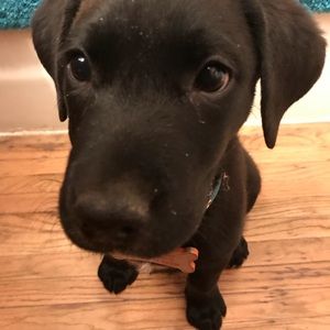 Meet your Posher, Laurie